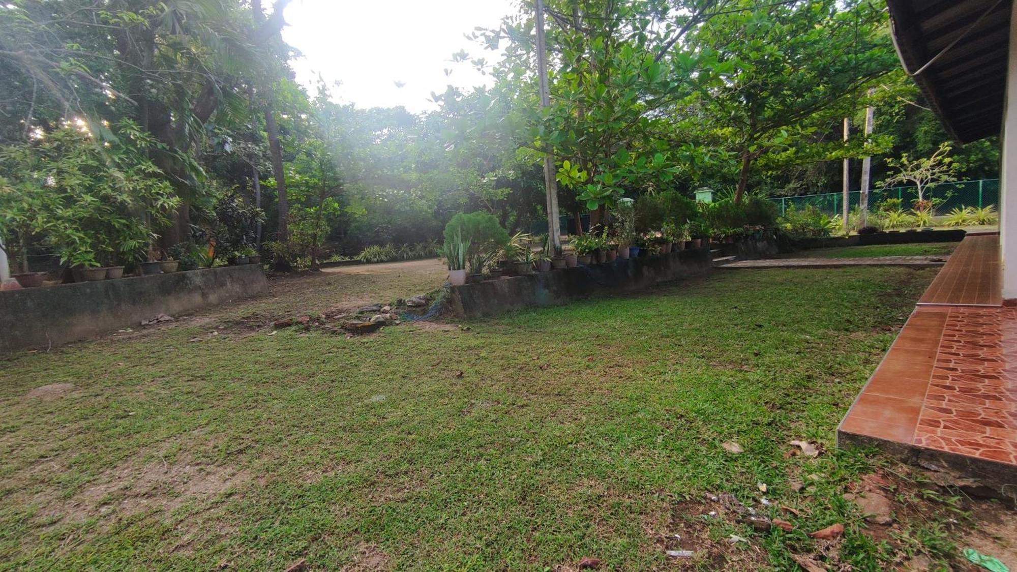Deer Garden Guest Hotel Polonnaruwa Exterior photo