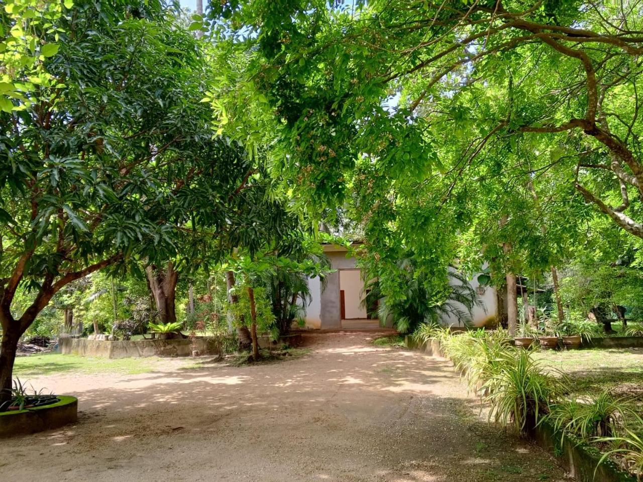 Deer Garden Guest Hotel Polonnaruwa Exterior photo